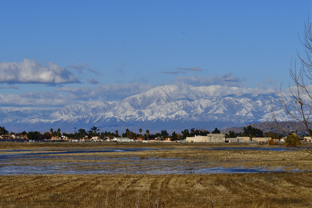 _ROY3770_00001.jpg
