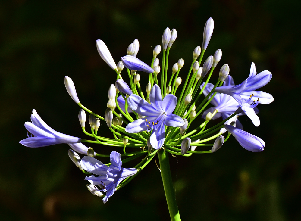 _ROY3820_00001.jpg