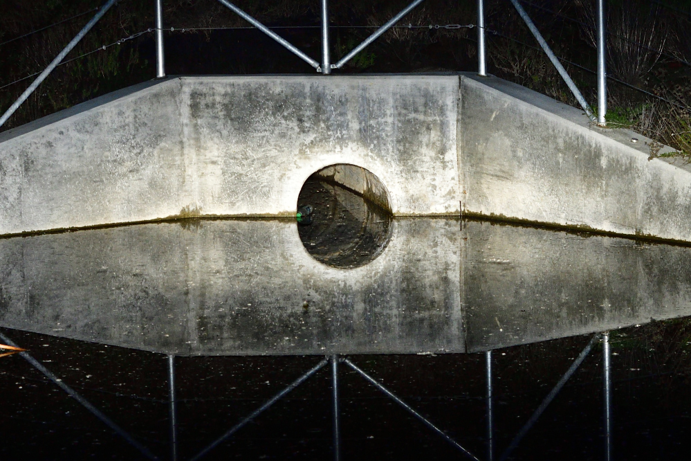 _ROY3835_00001.jpg