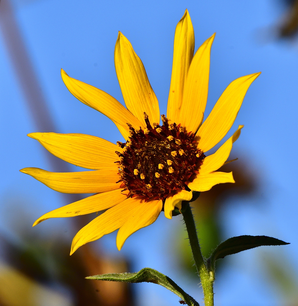 _ROY3844_01.jpg