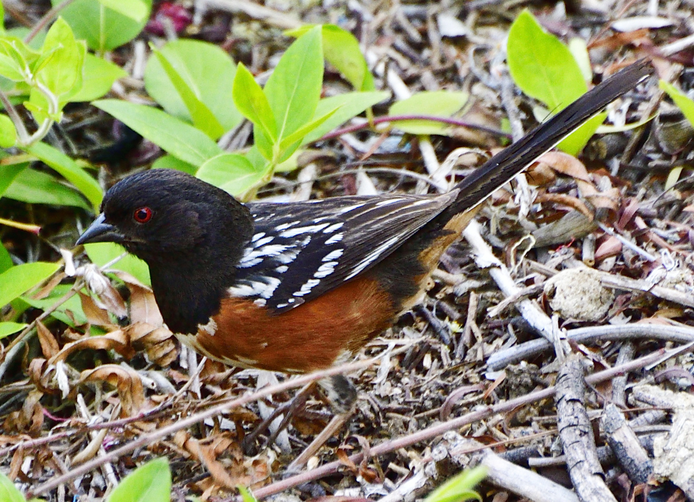 _ROY3880_00001.jpg