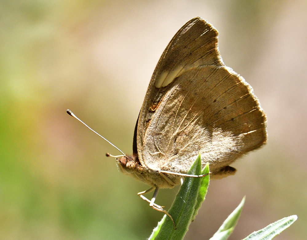 _ROY3891_00001_01.jpg