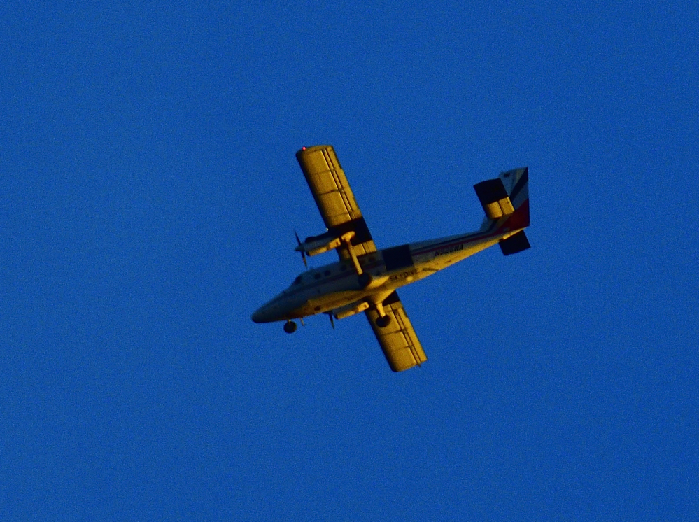 _ROY3910_00001.jpg