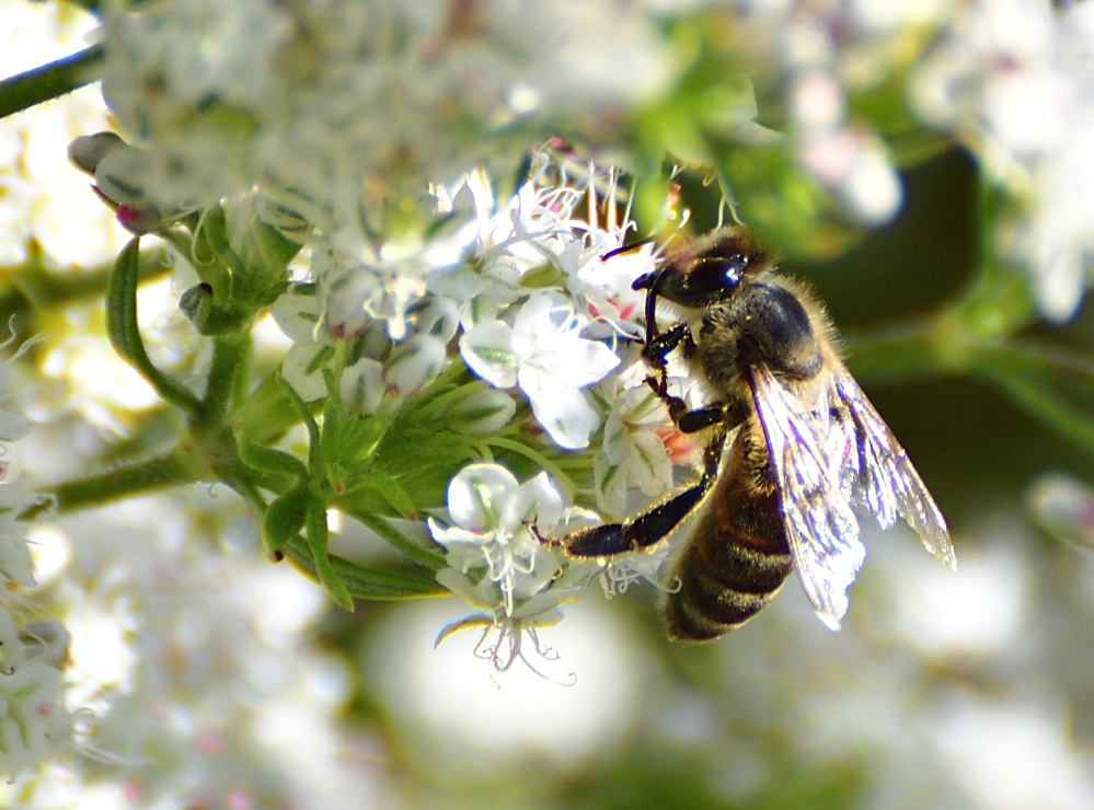 _ROY4058_00001.jpg