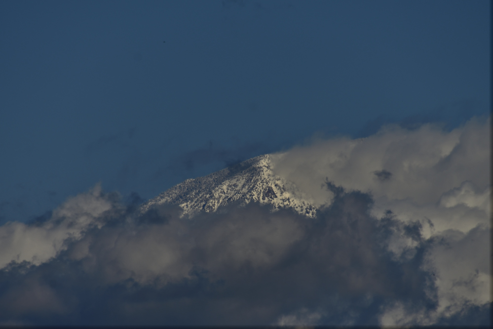 _ROY4065_00001_01.jpg