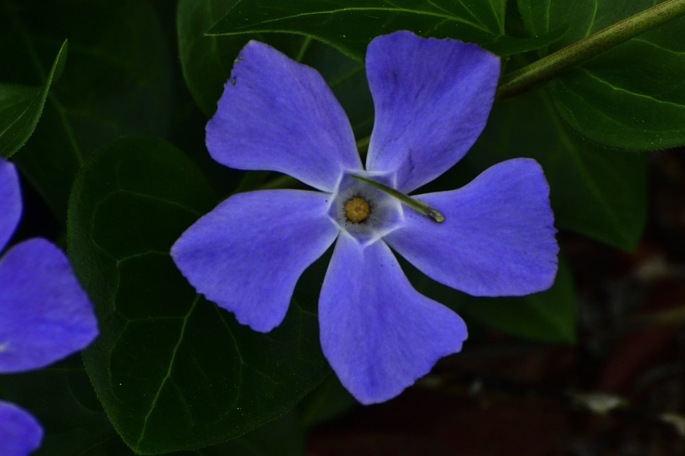_ROY4127_00001.jpg