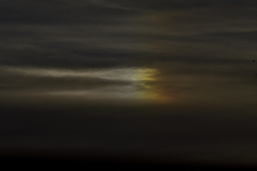 _ROY4261_00001.jpg