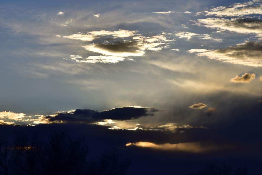 _ROY4368_00001.jpg
