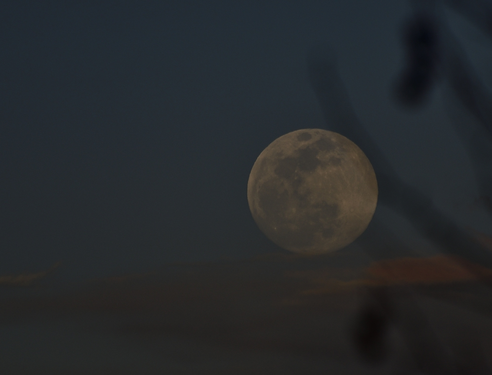 _ROY4369_00001.jpg