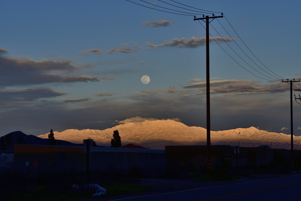 _ROY4373_00001_01.jpg