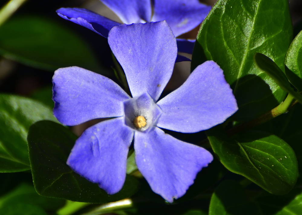 _ROY4377_00001_01.jpg
