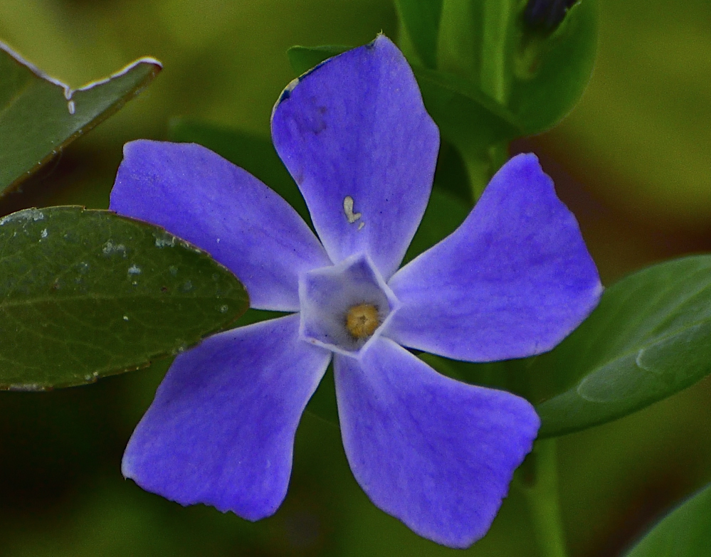 _ROY4438_00001.jpg