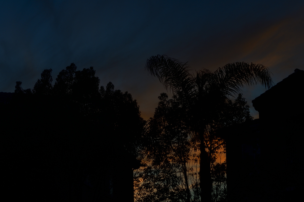 _ROY4446_00001.jpg
