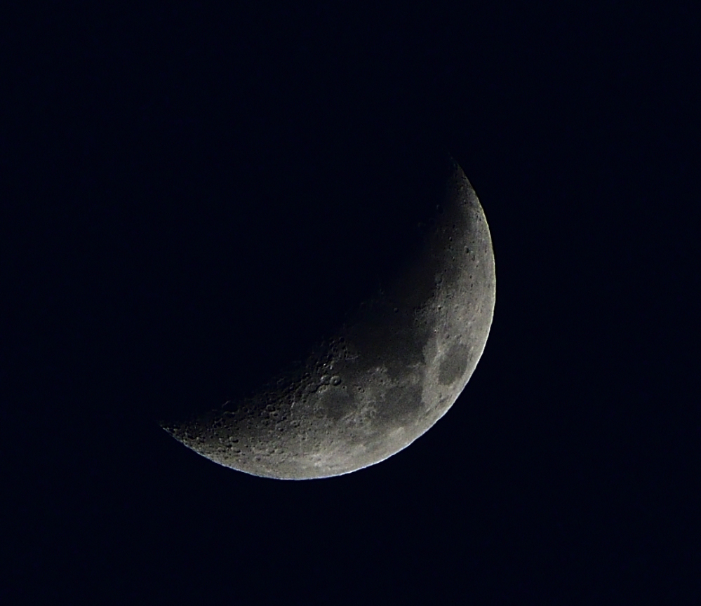 _ROY4451_00001_01.jpg