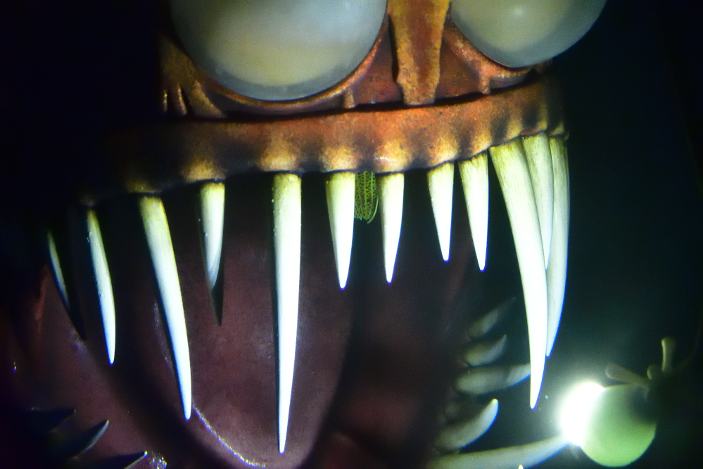 _ROY4582_00001.jpg