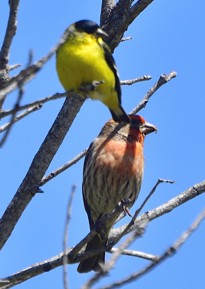 _ROY4628_00002.jpg