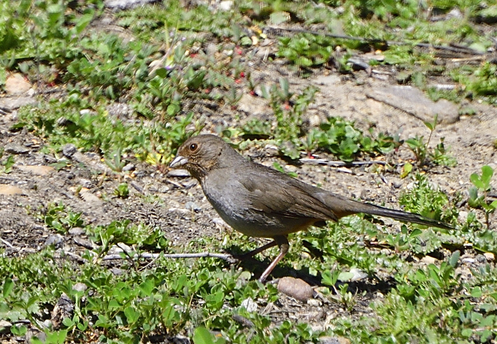 _ROY4641_00001.jpg