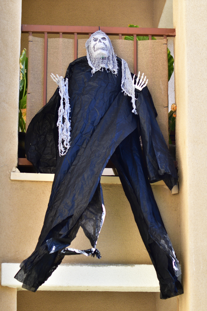 _ROY4789_00001.jpg