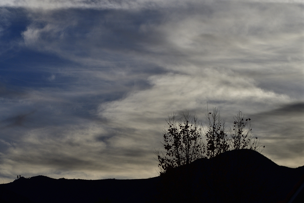 _ROY5062_00001.jpg