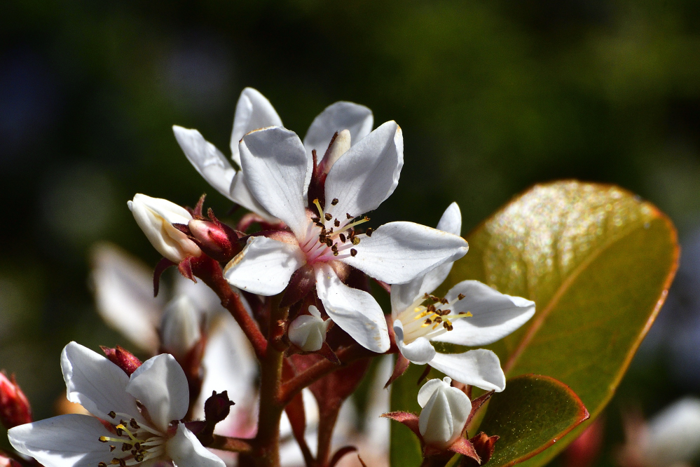 _ROY5148_00001_01.jpg