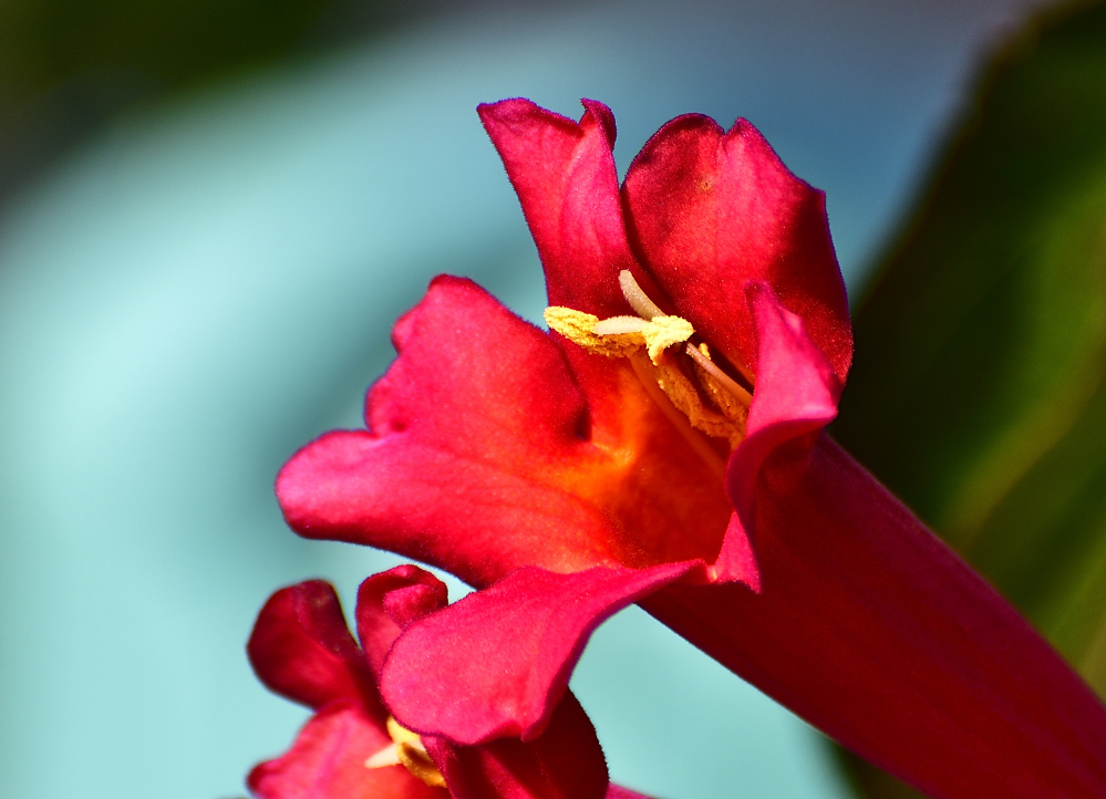 _ROY5202_00001.jpg