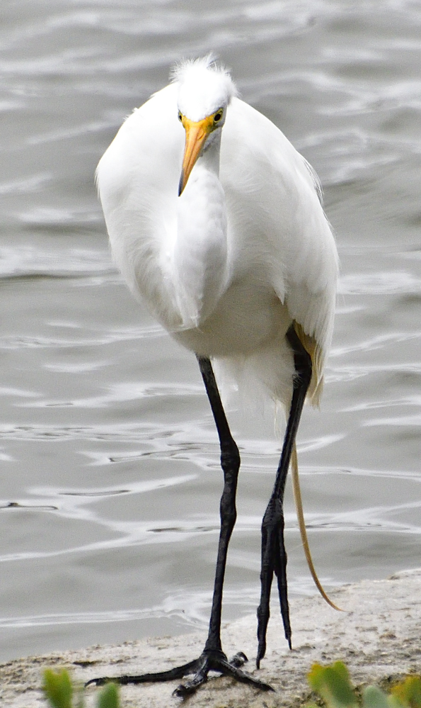 _ROY5309_00001.jpg