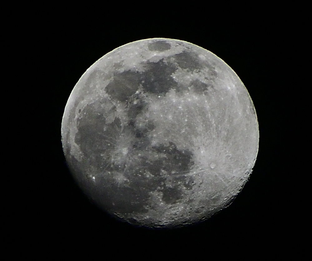 _ROY5349_00001.jpg