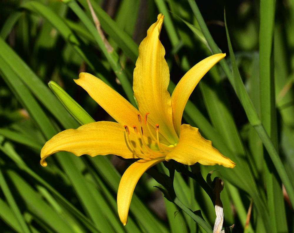 _ROY5369_00001.jpg