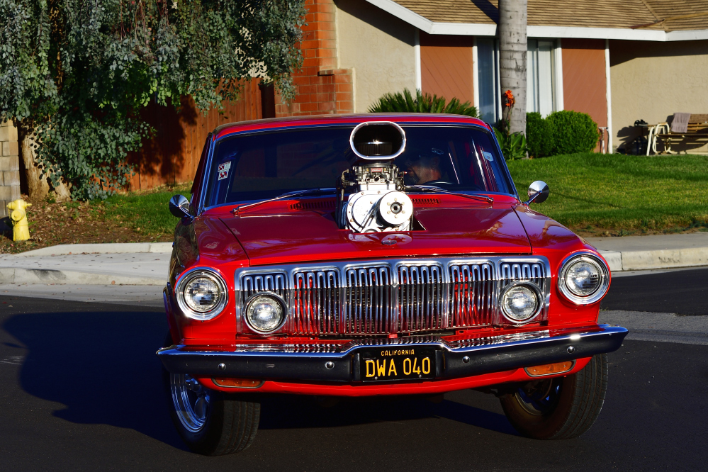 _ROY5379_01.jpg