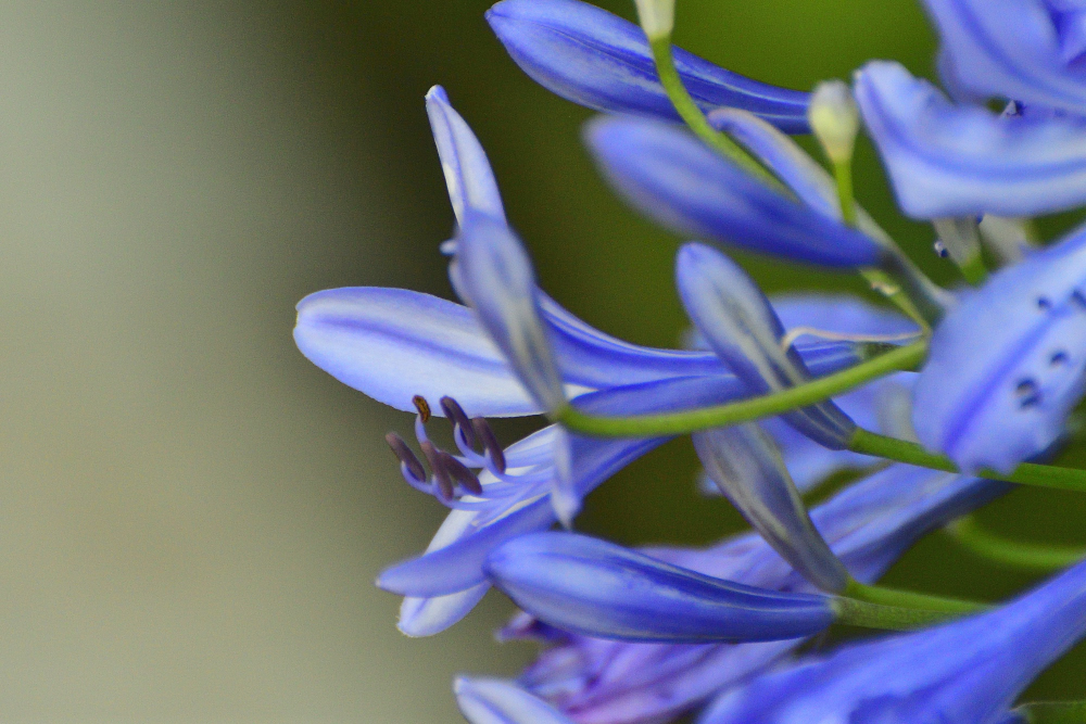 _ROY5492_00001.jpg