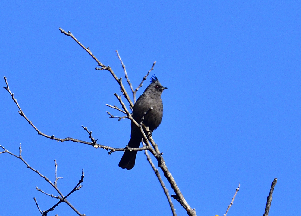 _ROY5495_00001_01.jpg