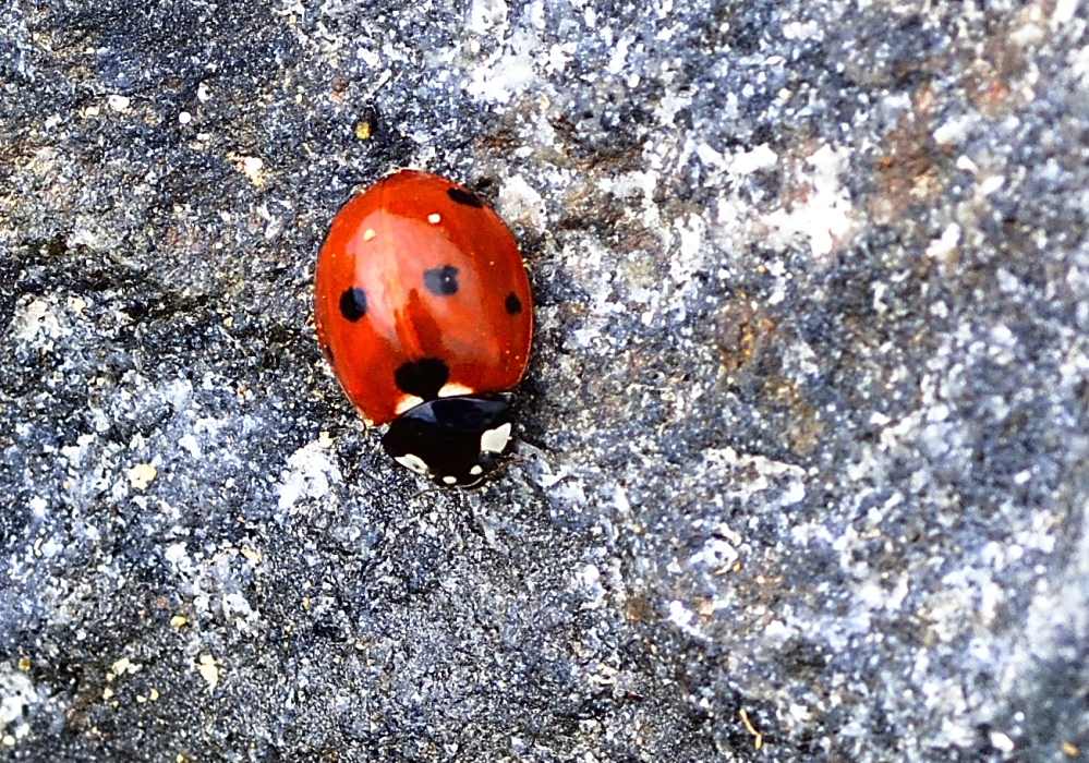 _ROY5522_02.jpg