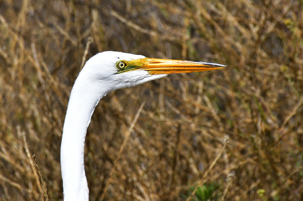 _ROY5544_00001.jpg