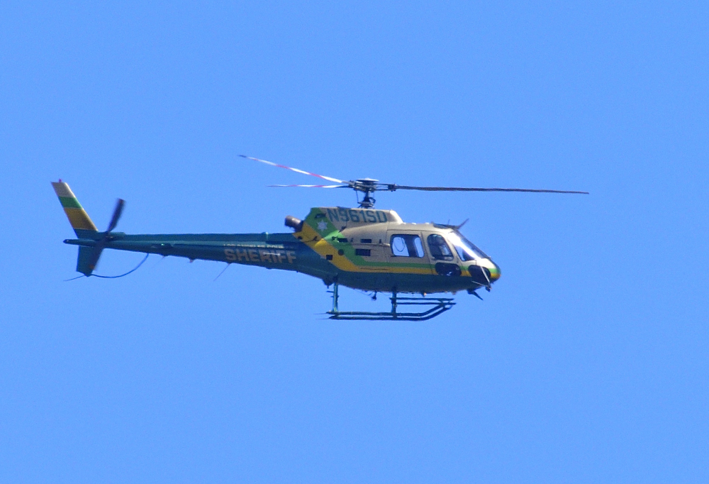 _ROY5641_00001.jpg