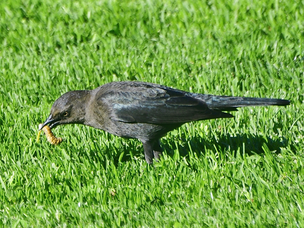 _ROY5725_00003.jpg