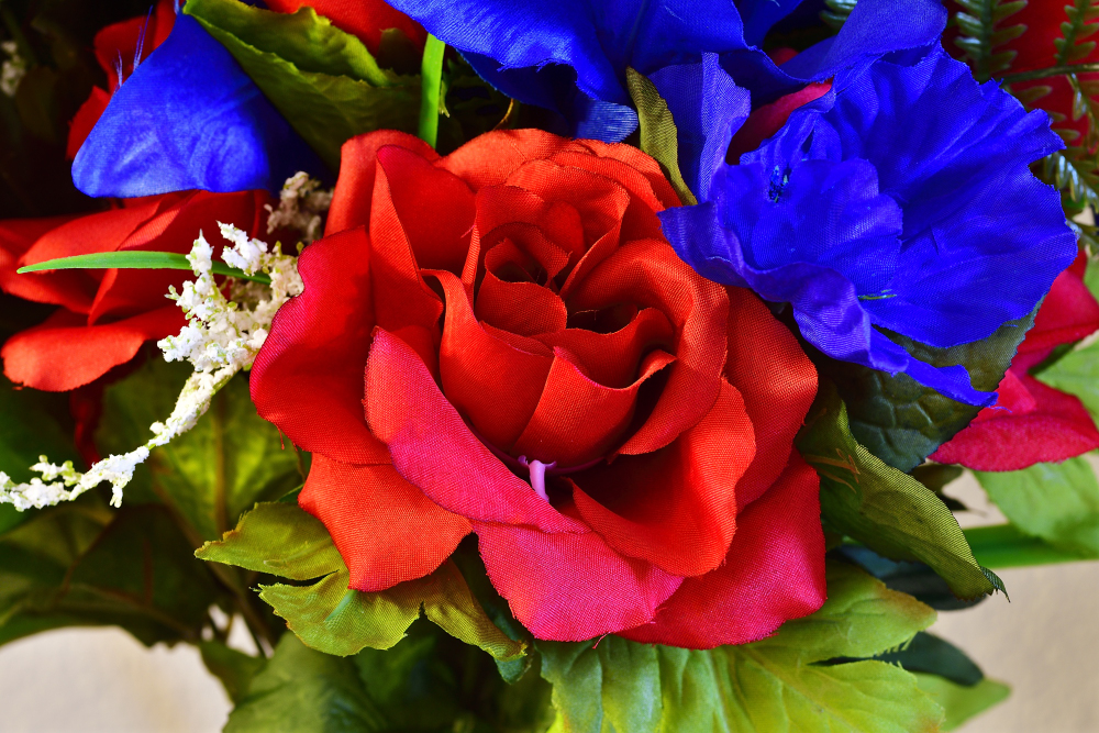 _ROY5802_00001.jpg