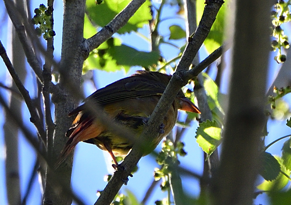 _ROY5832_01.jpg