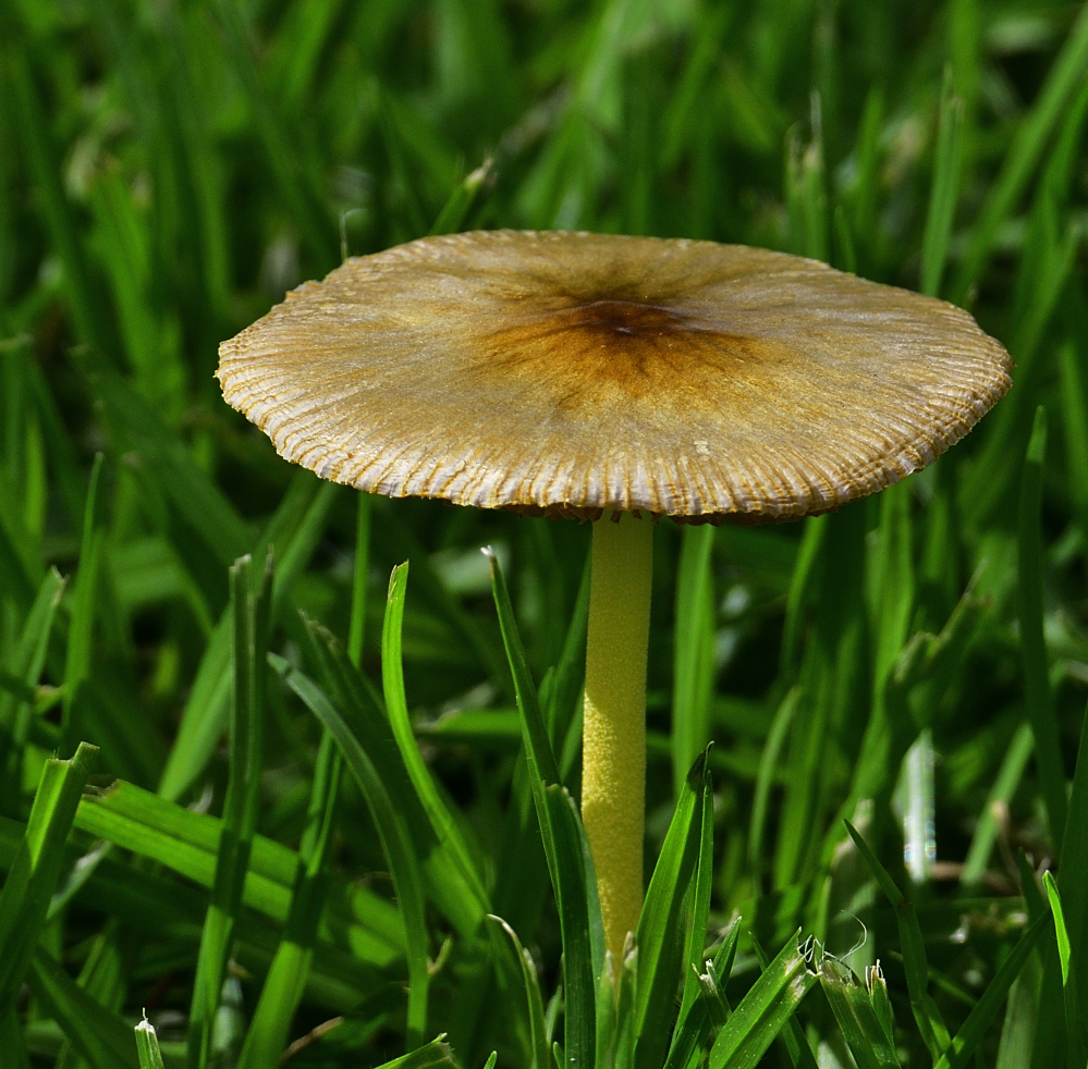 _ROY5871_00001.jpg