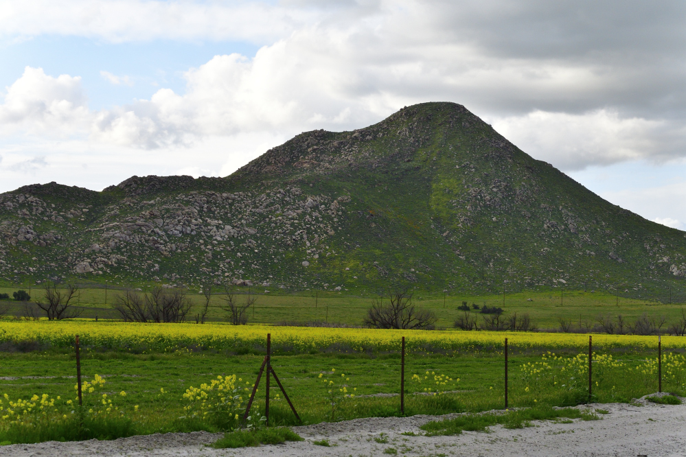 _ROY5947_00001.jpg
