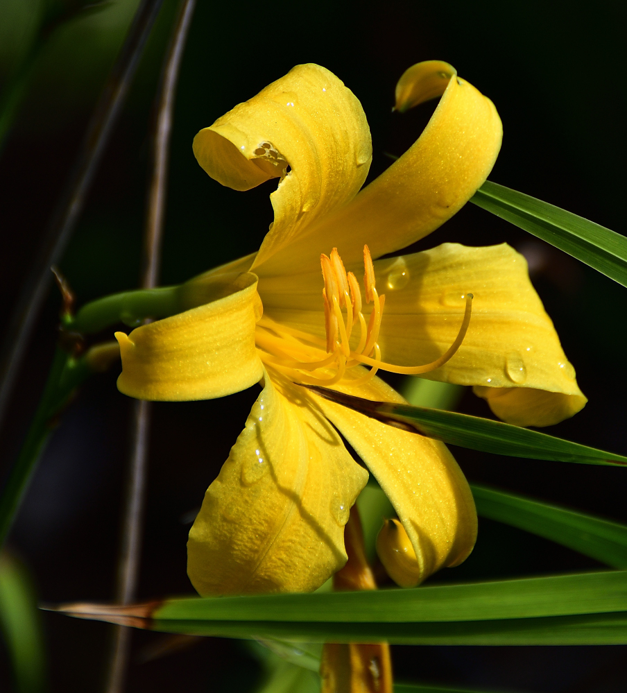 _ROY5959_01.jpg