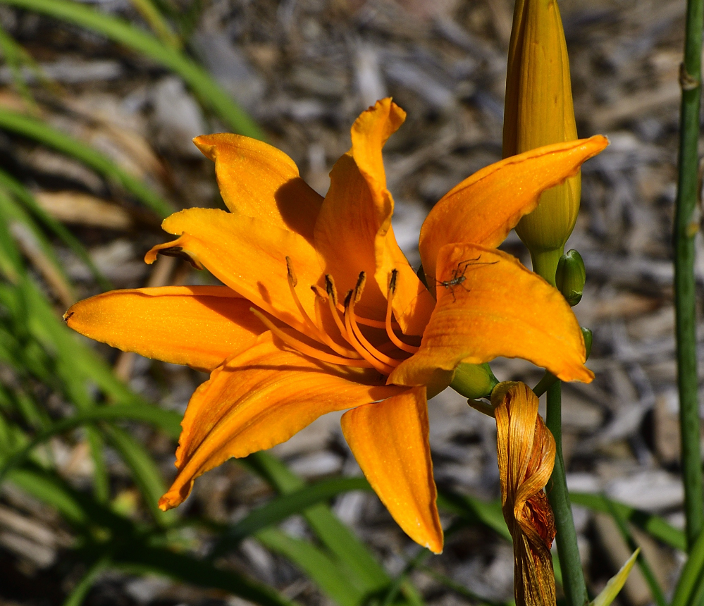 _ROY6121_00001.jpg