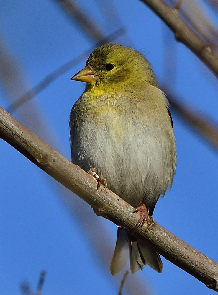 _ROY6192_00001.jpg