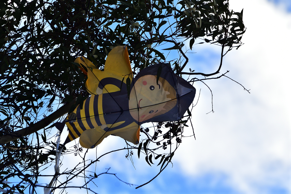 _ROY6244_01.jpg