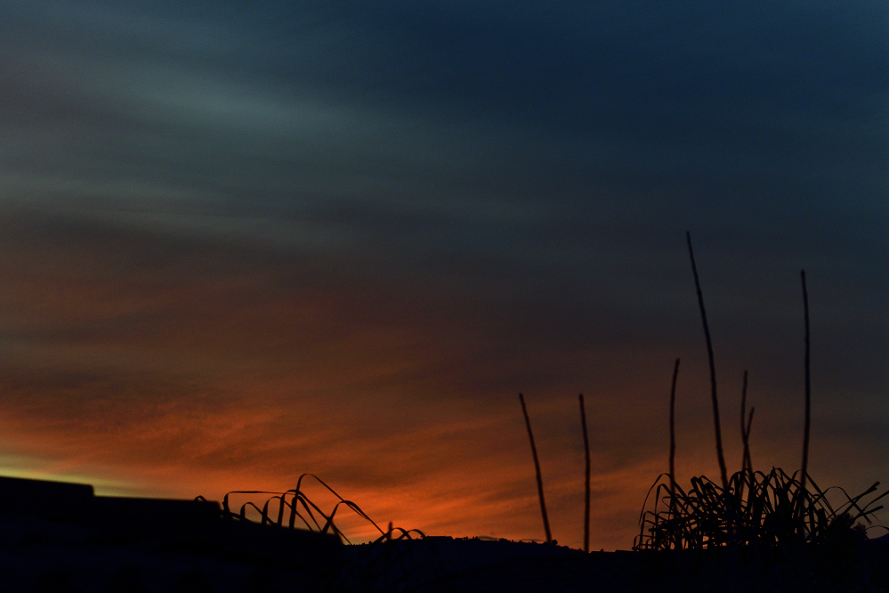_ROY6382_01.jpg