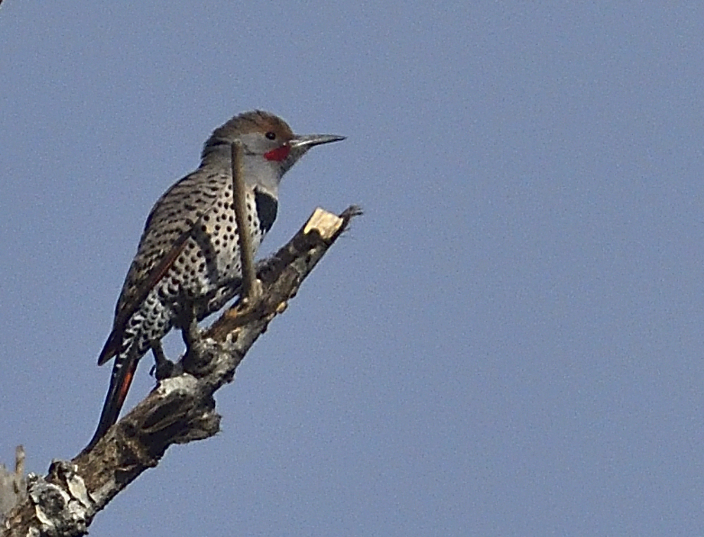 _ROY6422_01.jpg