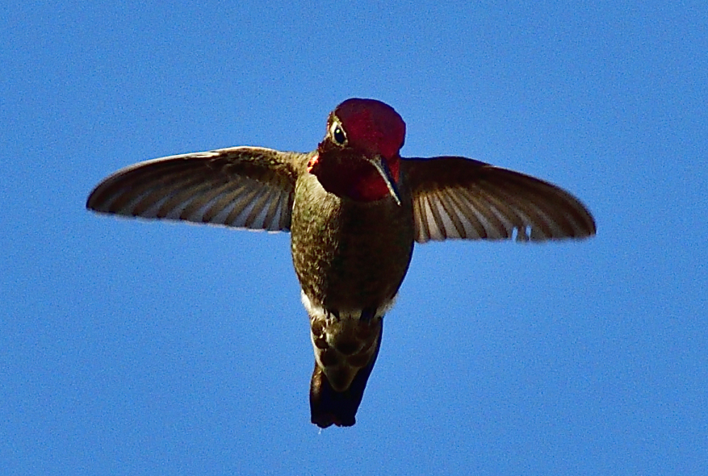_ROY6449_01.jpg