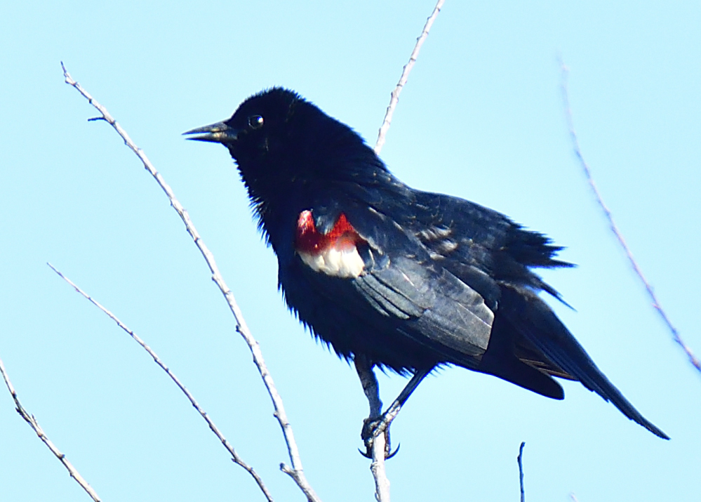 _ROY6637_00001.jpg
