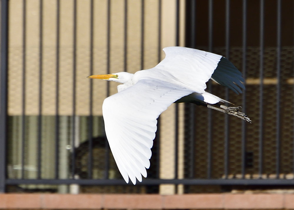 _ROY6702_00001.jpg