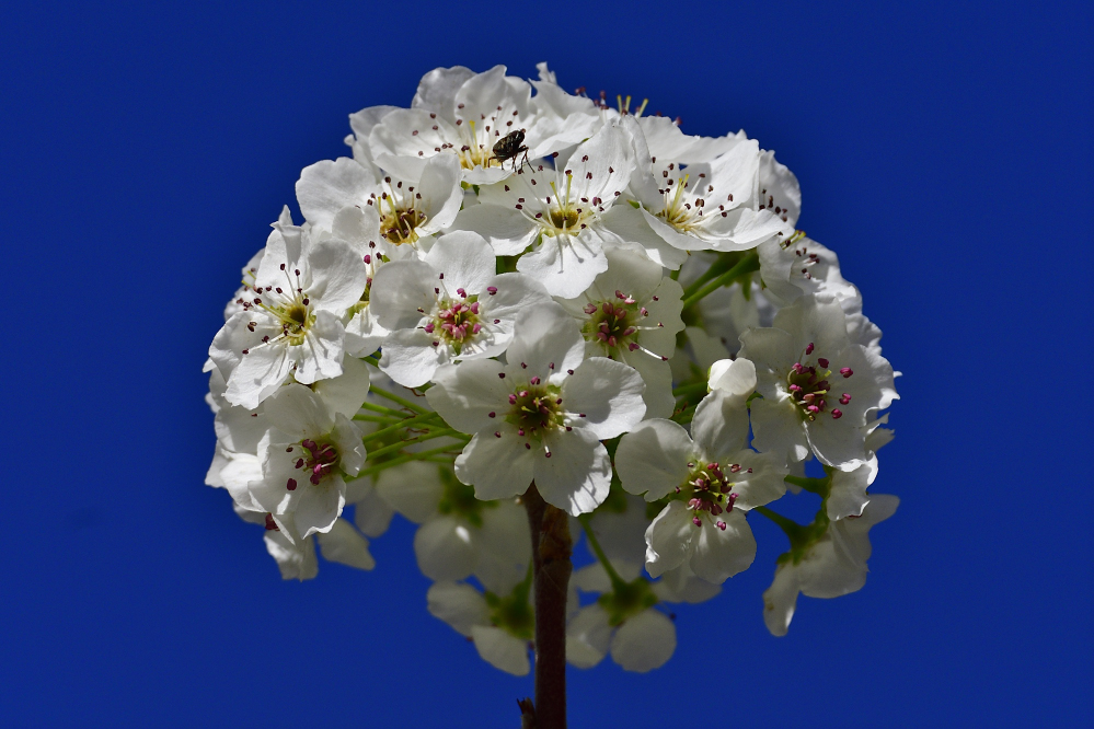 _ROY6709_00001.jpg