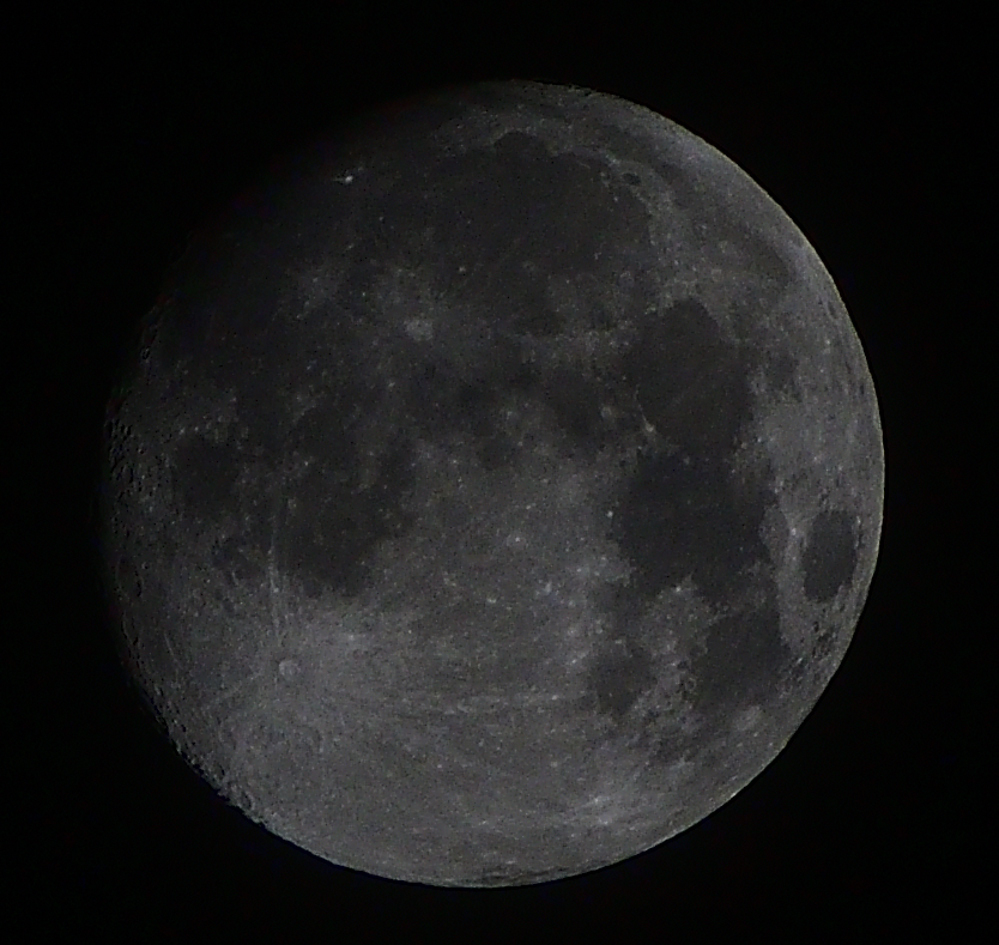 _ROY6770_00001.jpg